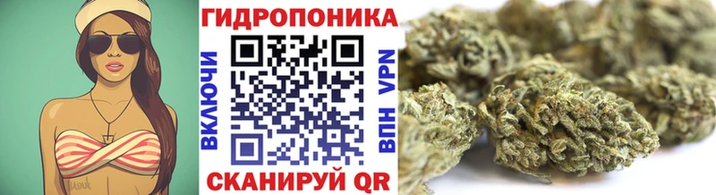 Шишки марихуана THC 21%  Купить закладки  Кондопога 